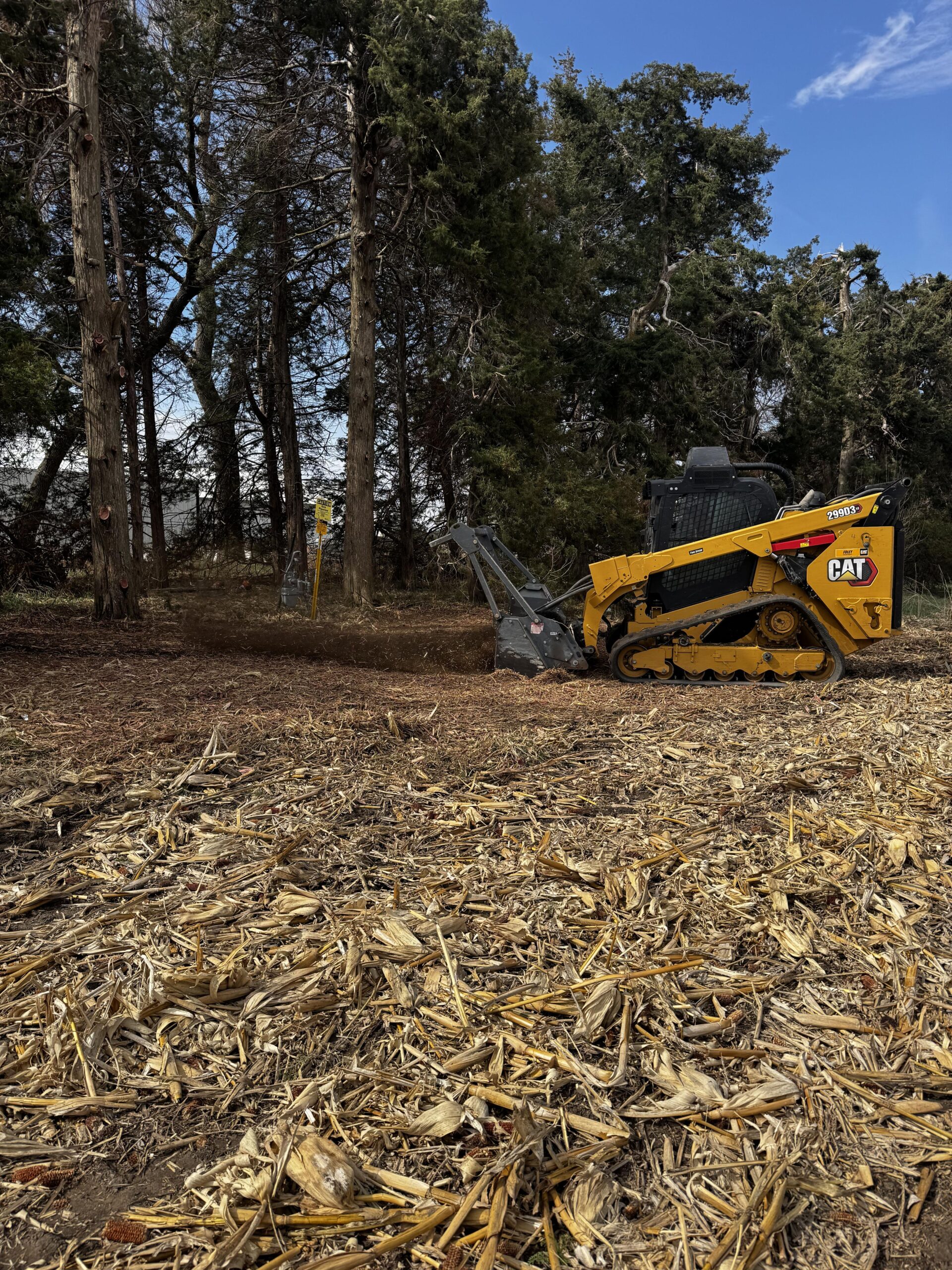 Compact CAT skid steer clearing debris in a wooded area, surrounded by trees under a blue sky, highlighting land preparation for development.