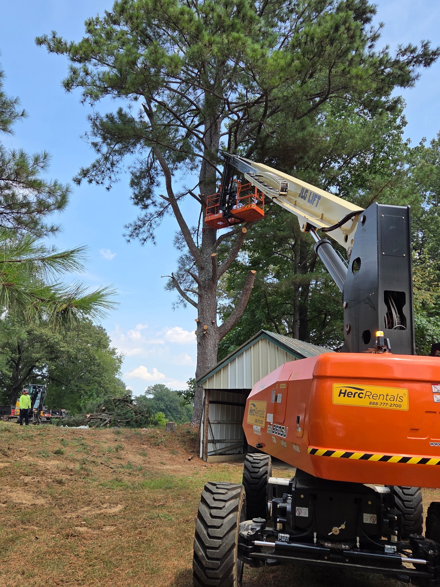 A cherry picker extends towards a tall pine tree, operated by a worker in safety gear. Nearby, equipment and logs indicate ongoing tree maintenance.